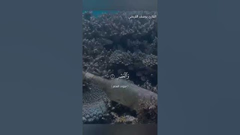 القارئ يوسف القيسي سورة العصر