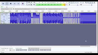 Excellent Raw Data Noise - Audacity Net Worth