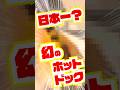 幻のホットドッグをネトスト芸で探す【ケニーのホットドッグ うまい chatgpt】 #vtuber #shorts #グルメ #都市伝説