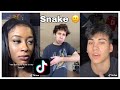 Snake TikTok Compilation