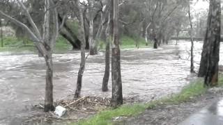 Adelaide Flood (14 Sep 2016)