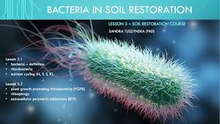 Lesson 3.1   Introduction to soil bacteria