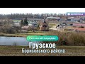 «Сельский порядок». Грузское Борисовского района (25.03.2020)