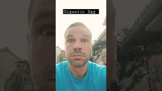 Huge Egg Surprise