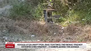 Κοιλάδα Αγίων Αναργύρων: Ένας πολύτιμος πνεύμονας πρασίνου εκπέμπει σήμα κινδύνου