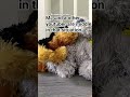 could you get us some support