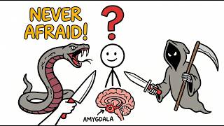 Why Do Some People Feel No Fear (The Mystery of The AMYGDALA)