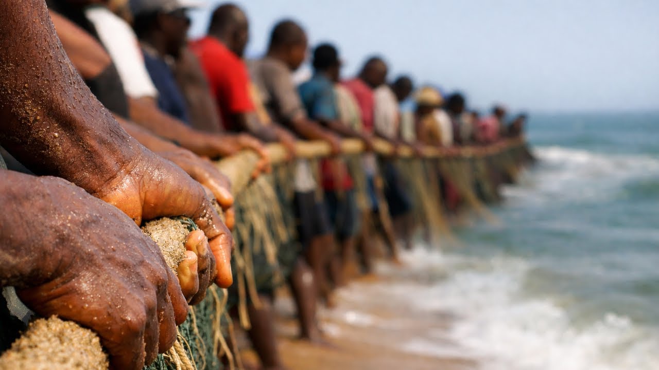 Как целое сообщество вытащило чудовище из океана