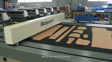 Richpeace Flatbed Scanning Digitizer ,working video