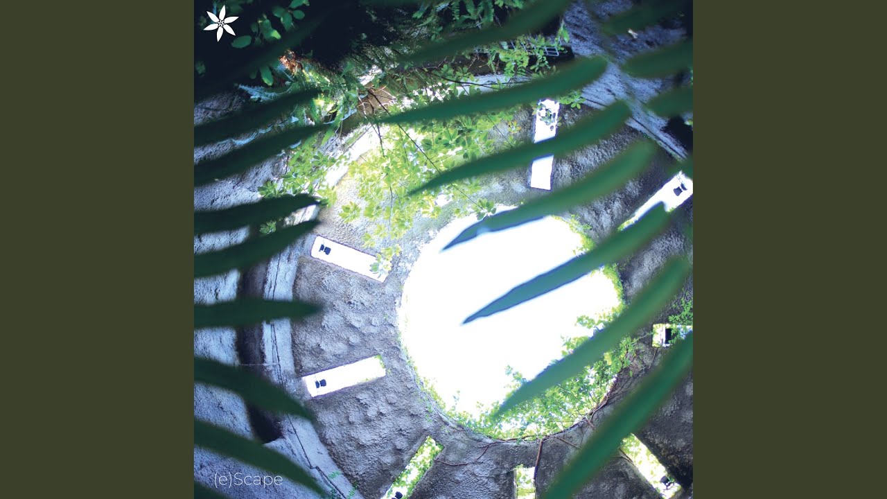 Watch Whoever on YouTube Watch Whoever on YouTube