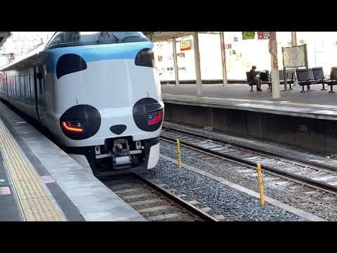 パンダくろしお！阪和線287系くろしお22号新大阪行き　和歌山発車！