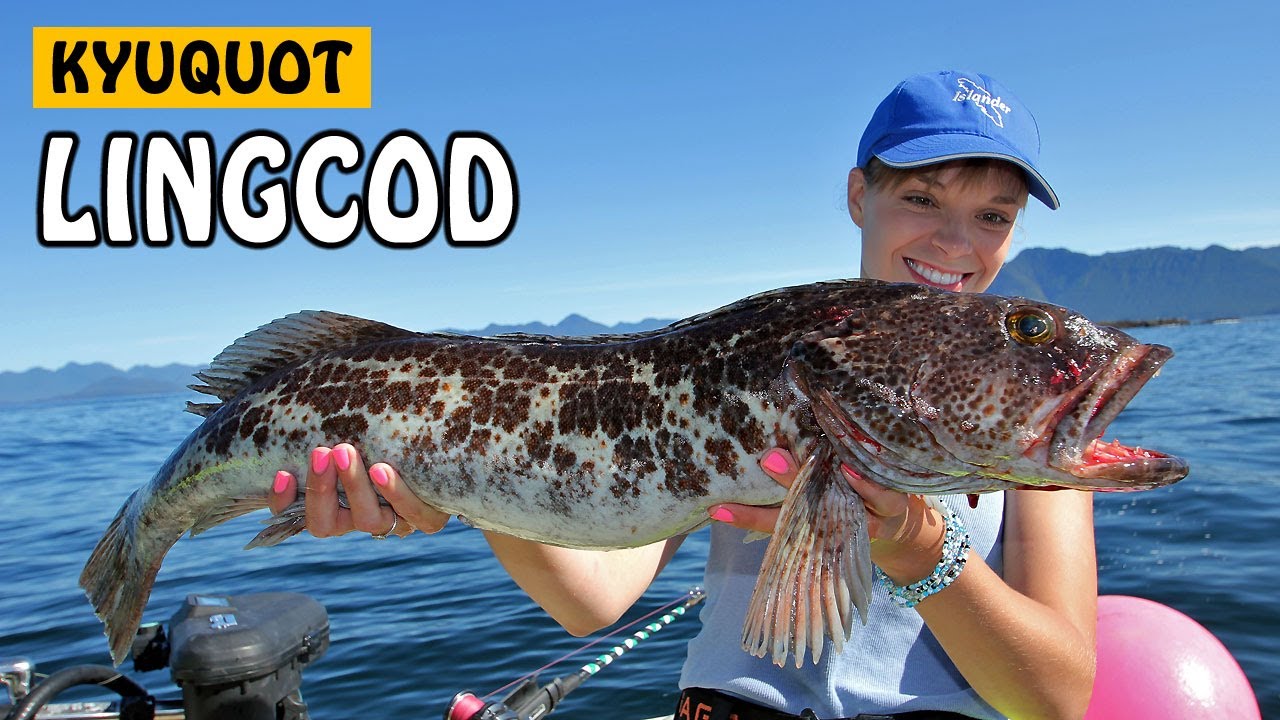 Deep Sea Fishing for Halibut and Lingcod with BIG SWIMBAITS