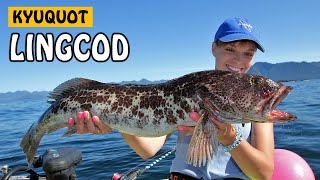 BIG LINGCOD  Kyuquot, The Fish Metropolis | Fishing with Rod