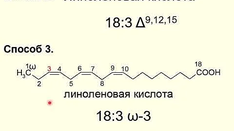 ЛЕКЦИЯ 3.  ЛИПИДЫ