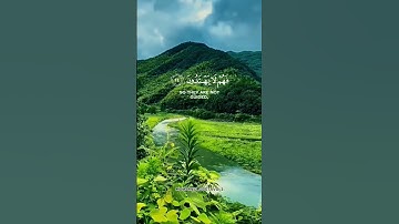 سورة النمل 🧡🍁📿 #سورة_النمل #ياسر_الدوسري #القرآن_الكريم #قرآن #quran #fypシ #explore #fyp #islam