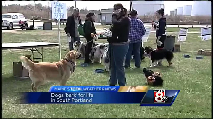 Dogs 'bark' for American Cancer Society