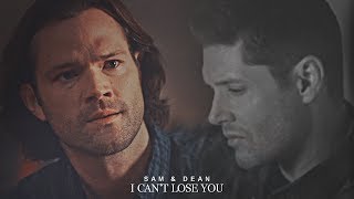 sam & dean || I can't lose you.