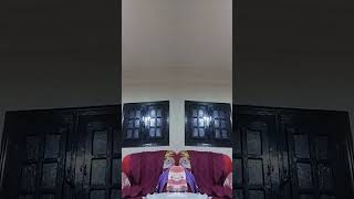 Spider Eat The Lemon