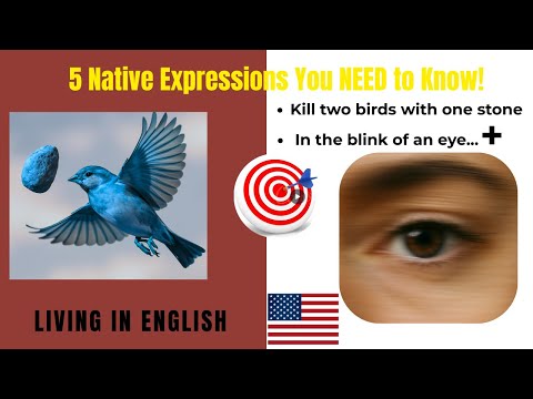 Master Advanced expressions