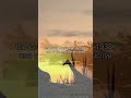 Giraffes' Journey to America