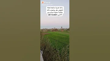 حالات واتس اب الشيخ السيد سعيد قرأن كريم مقاطع صغيره اجمل الاصوات 