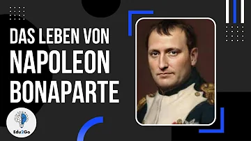 Wann kam Napoleon auf die Militärschule?