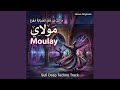 مولاي MOULAY تجربة صوفية إلكترونية تتخطى حدود الزمن 