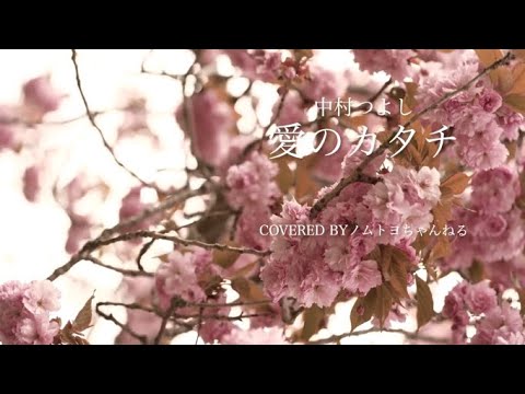 アラフォー男が歌う　中村つよし (海蔵亮太)　「愛のカタチ」　歌ってみた　Covered byノムトヨちゃんねる