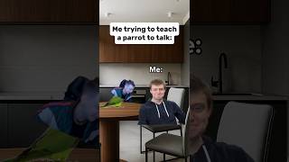 Me trying to teach a parrot to talk #memes #funny