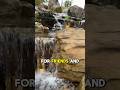 Your very own waterfall in your backyard ✨ #watergarden #aquascape #waterfature