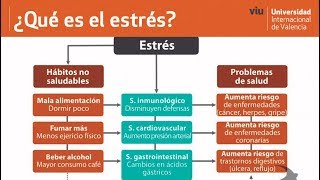 Espere autómata Pensar Qué es el estrés, qué produce el estrés y cómo podemos afrontarlo? - YouTube