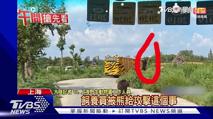 陸飼養員遭熊群撕咬致死 動物園遊客目睹 - 天天要聞