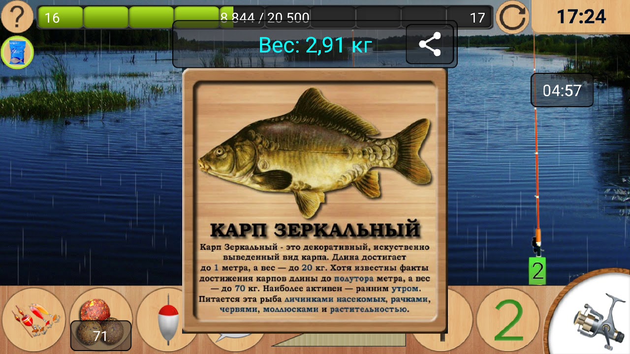 Реальная Рыбалка Карп Голый Рыбхоз