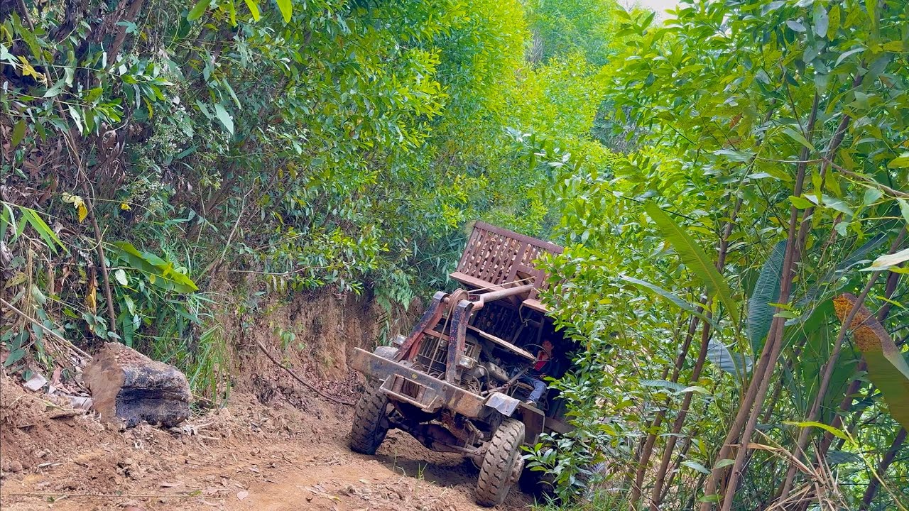 Xe Độ Chở Gỗ, Đầu Năm Bò Lên Con Đường Dốc Hơi Đứng Rất Nguy Hiểm #bòvàng 