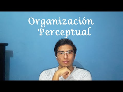 Organización Perceptual