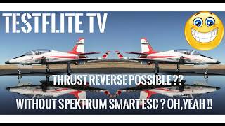 How to use Trust Reverse on the E-Flight Viper without Spektrum Radio.