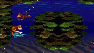 Donkey Kong Country: Level 4: Coral Capers