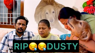 Download Lagu Dusty हम सब को छोड़ के चला गया 😪  MP3