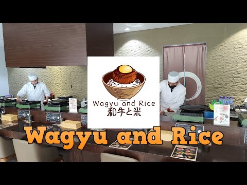 Inside Penang Wagyu Rice Restaurant Menu