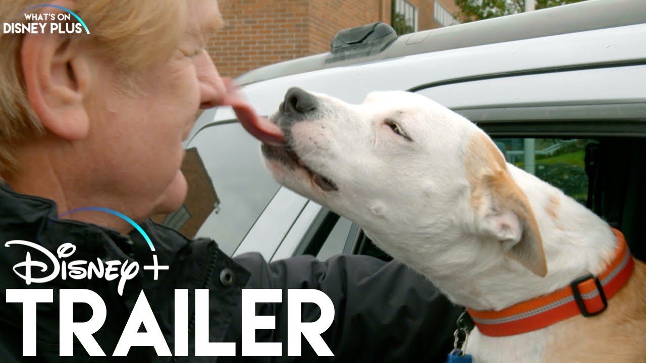 It's A Dog's Life With Bill Farmer Disney+ Trailer YouTube