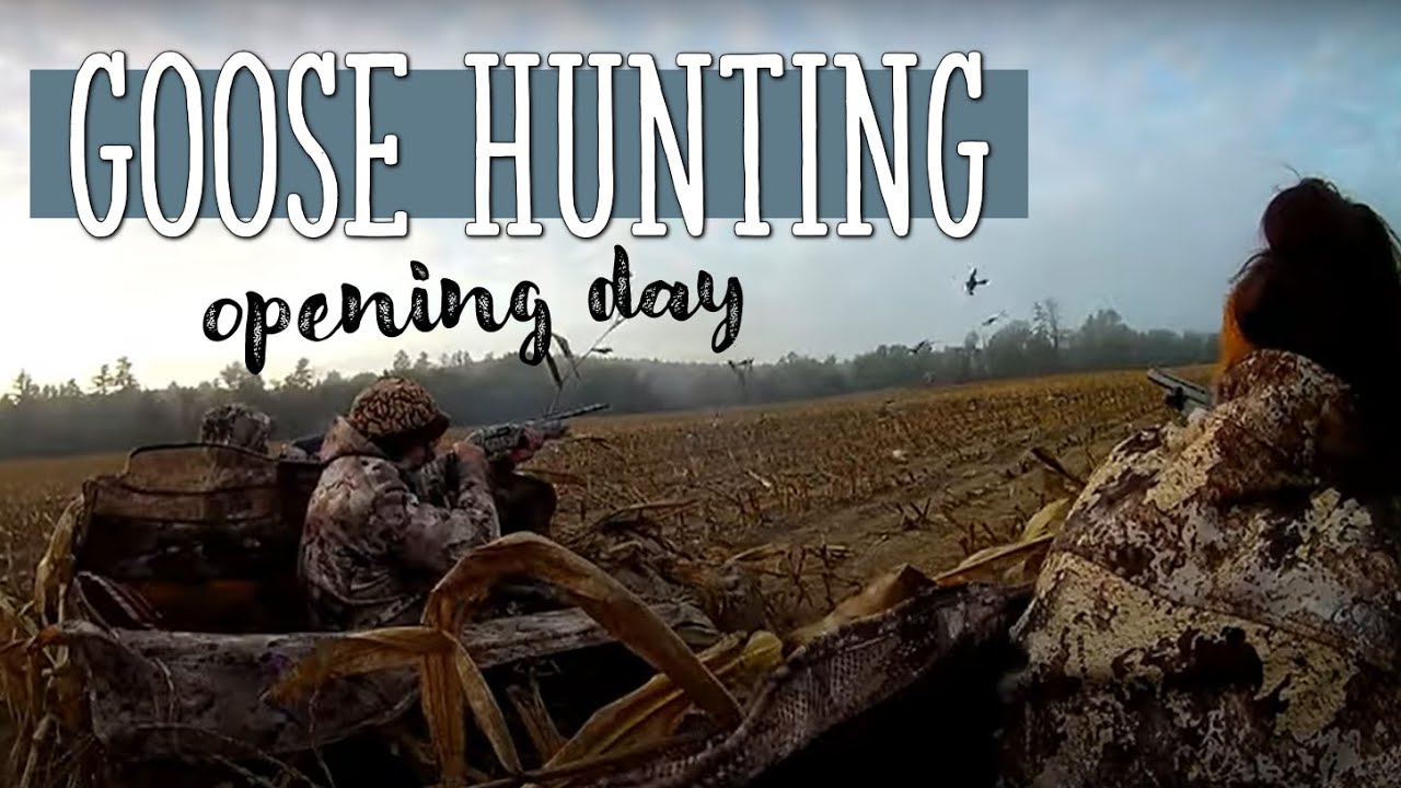 Goose Hunting New Hampshire 2020 Opening Day YouTube