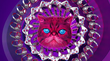 Recycle Your Electricals - Hypnocat