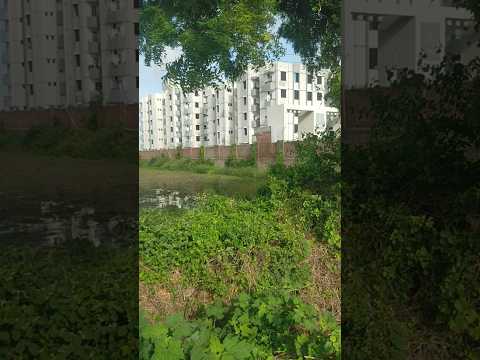 21 September 2025 Youtube Youtube