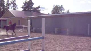 Bild 018.avi