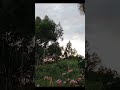 Ótimo dia galerinha 🍃 🍃