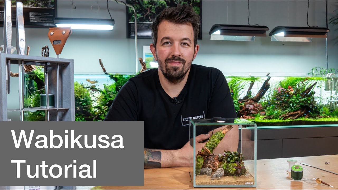 Wabikusa Aquarium Tutorial | Liquid Nature
