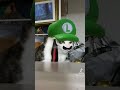 ミクとゆのがルイージに#ねこのいる暮らし #ねこ動画 #ねこのいる生活