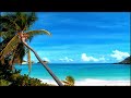VISUAL AMBIENCE | Tropical Beach, Ocean Waves, Palm Tree &amp; Sunny Day – Relax and Focus 8 Hours