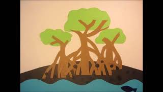 Mangroves and their ecosystem services   Stop motion