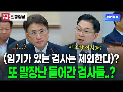 임기가 있는 검사는 제외한다? 또 말장난..? 법기술..?? #김동아